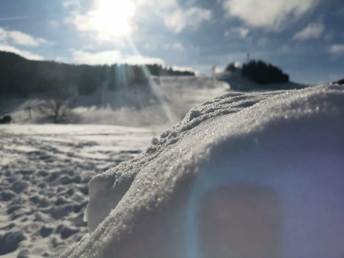 Apartmán Plesnivec Donovaly Esterno foto
